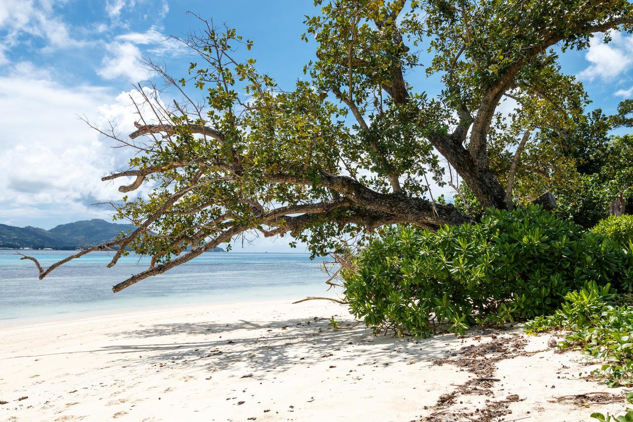 Surf Tropical Villa Seascape Cerf Island Buitenkant foto